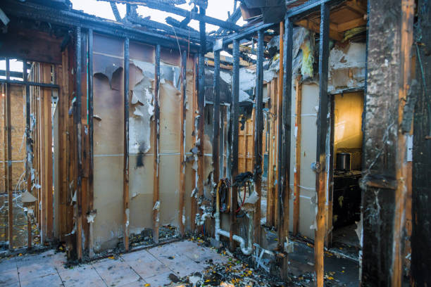 Professional Smoke Damage Removal technician working in Romeoville, IL